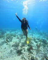 Buceo – ¡Explora el mundo submarino de San Andrés!