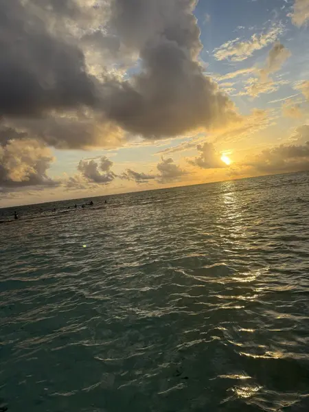 Tour Amanecer en Pontón