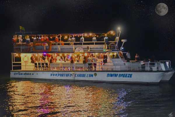 imagen La Isla de Noche